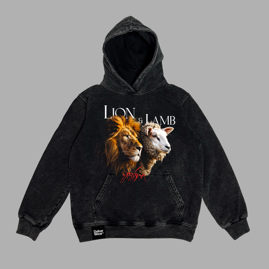 Hoodie Niño acid wash relaxed fit LION AND LAMB