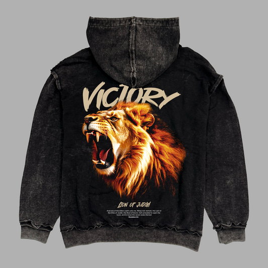 Hoodie Relaxed Stonewash Distressed VICTORY (Unisex)