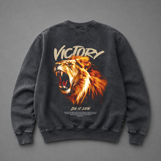 Polo Crewneck Stonewash "VICTORY" (Fit Relaxed)