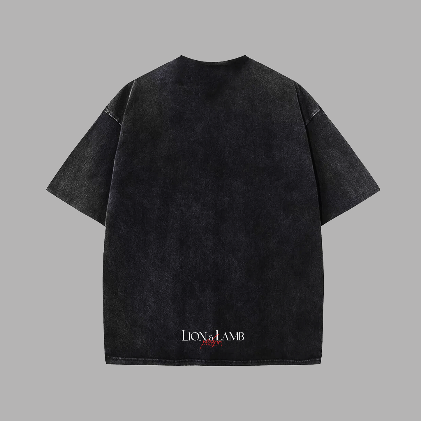 Tshirt Kids Stonewash black “LION AND LAMB” (Fit Relaxed)