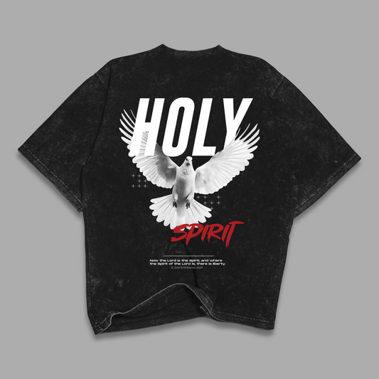 Tshirt acid wash Relaxed HOLY