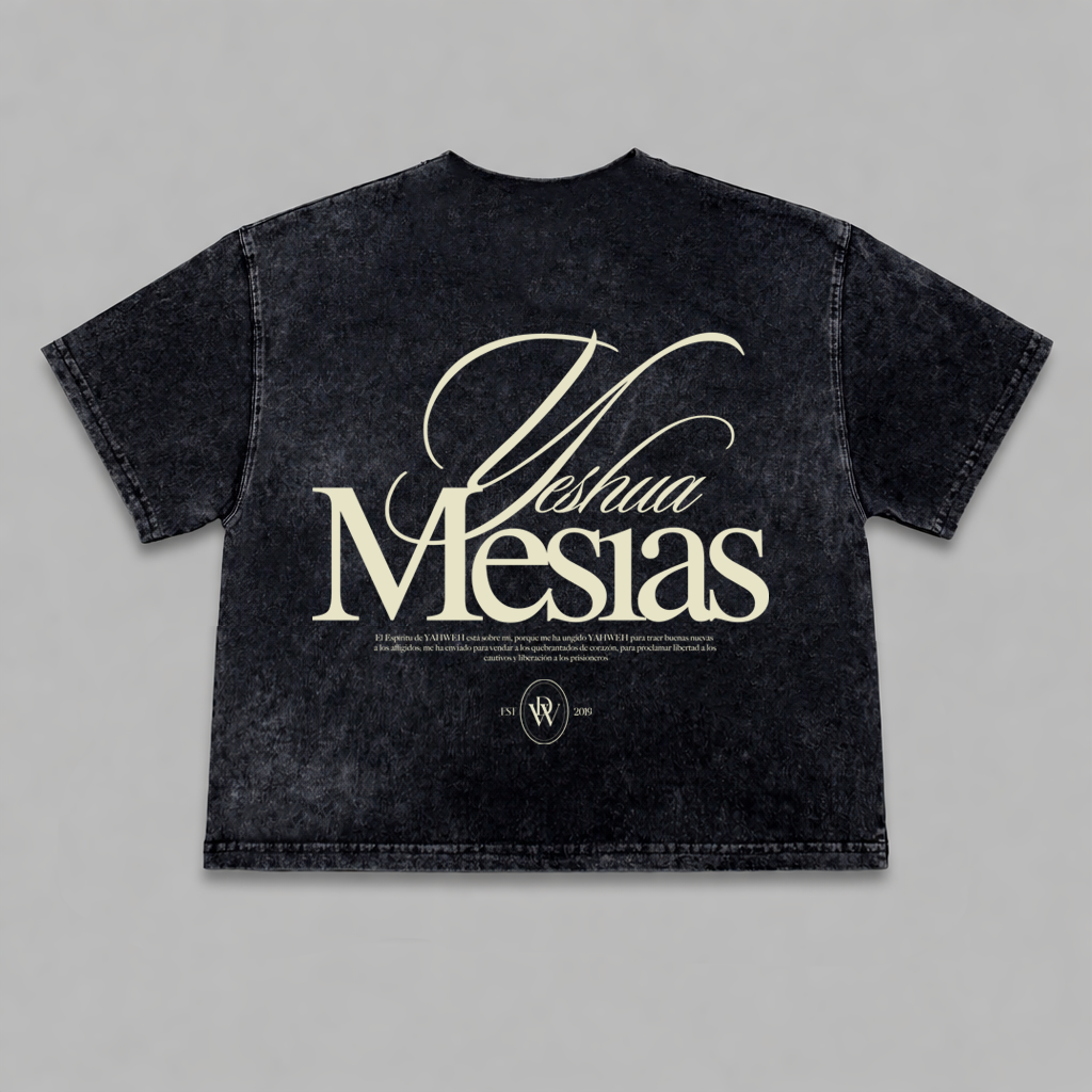 Tshirt Mujer Boxy stonewash MESIAS